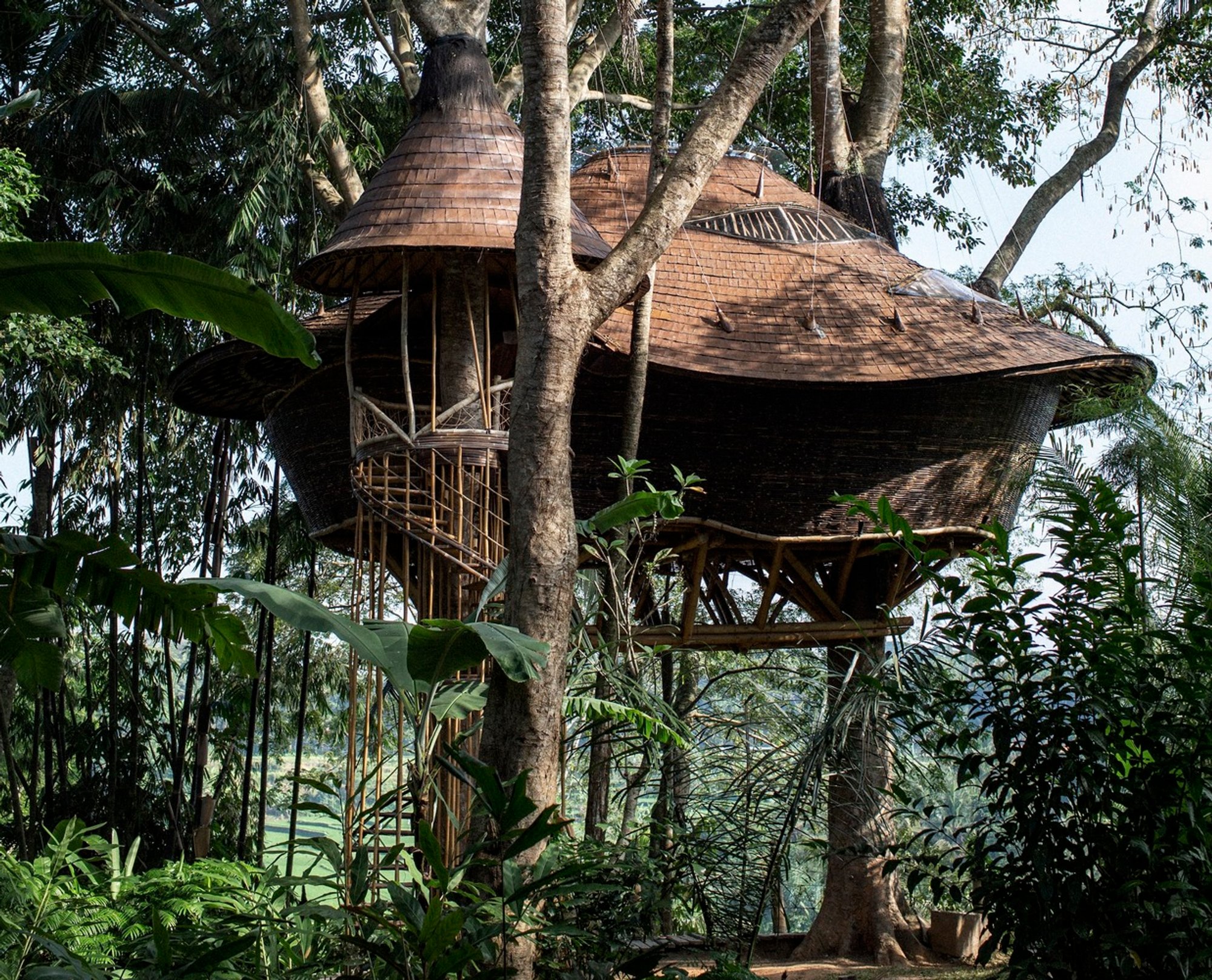 Treehouse at Bambu Indah by IBUKU: A Masterpiece of Bamboo Architecture