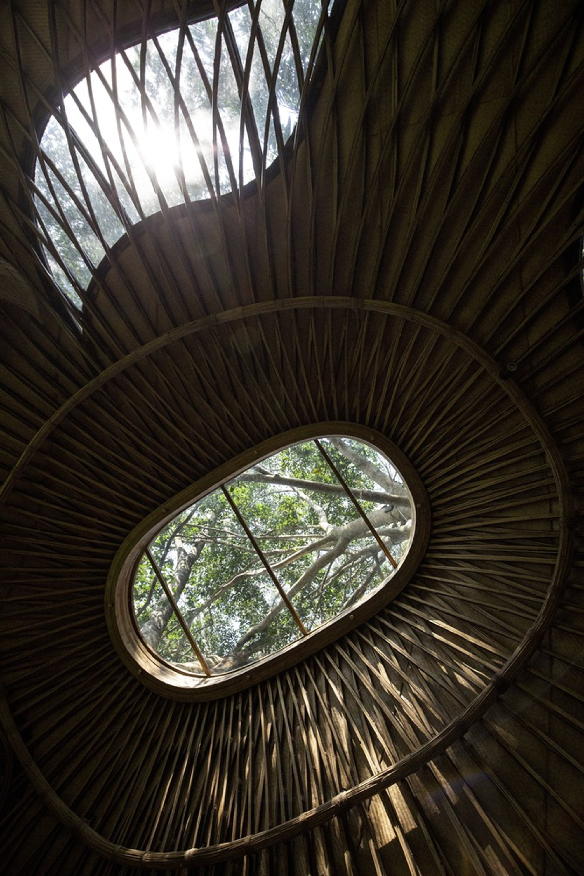 IBUKU Weaves a Bamboo Treehouse Around Three Giant Trees on Bali's Sayan Ridge