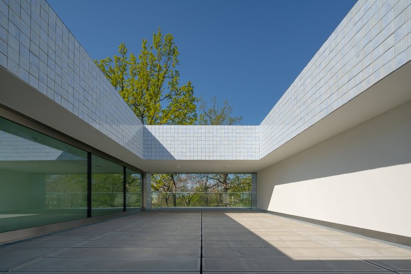 Open courtyard with white tile walls and a tree rising through the central void