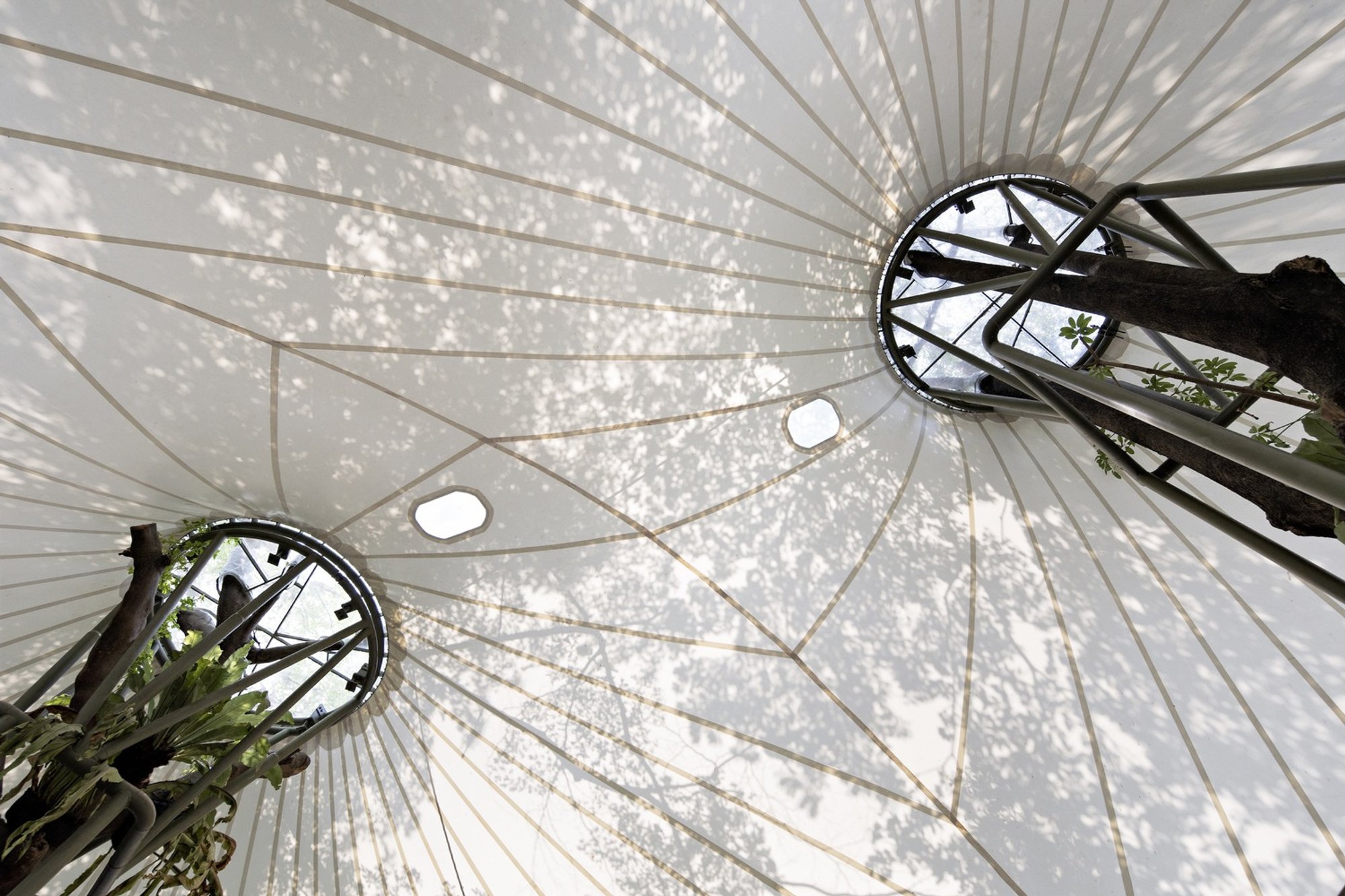 RAD+ar Wraps Five 30-Meter Trees in Tensile Fabric to Create a Bar in Central Jakarta