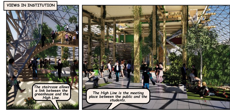 Green Spaces, Vibrant Community – The High Line connects students and the public in a shared biophilic environment.
