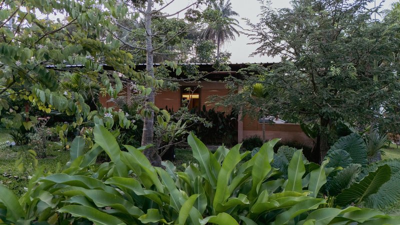 Terraced earthen walls and flat roofs embedded in dense tropical planting under an overcast sky