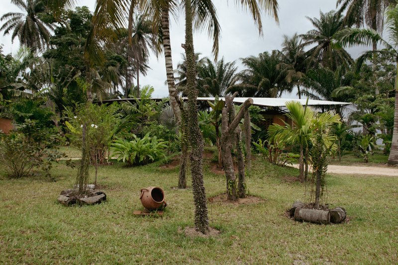 Garden yard with palm trees and clay vessels on grass under overcast sky