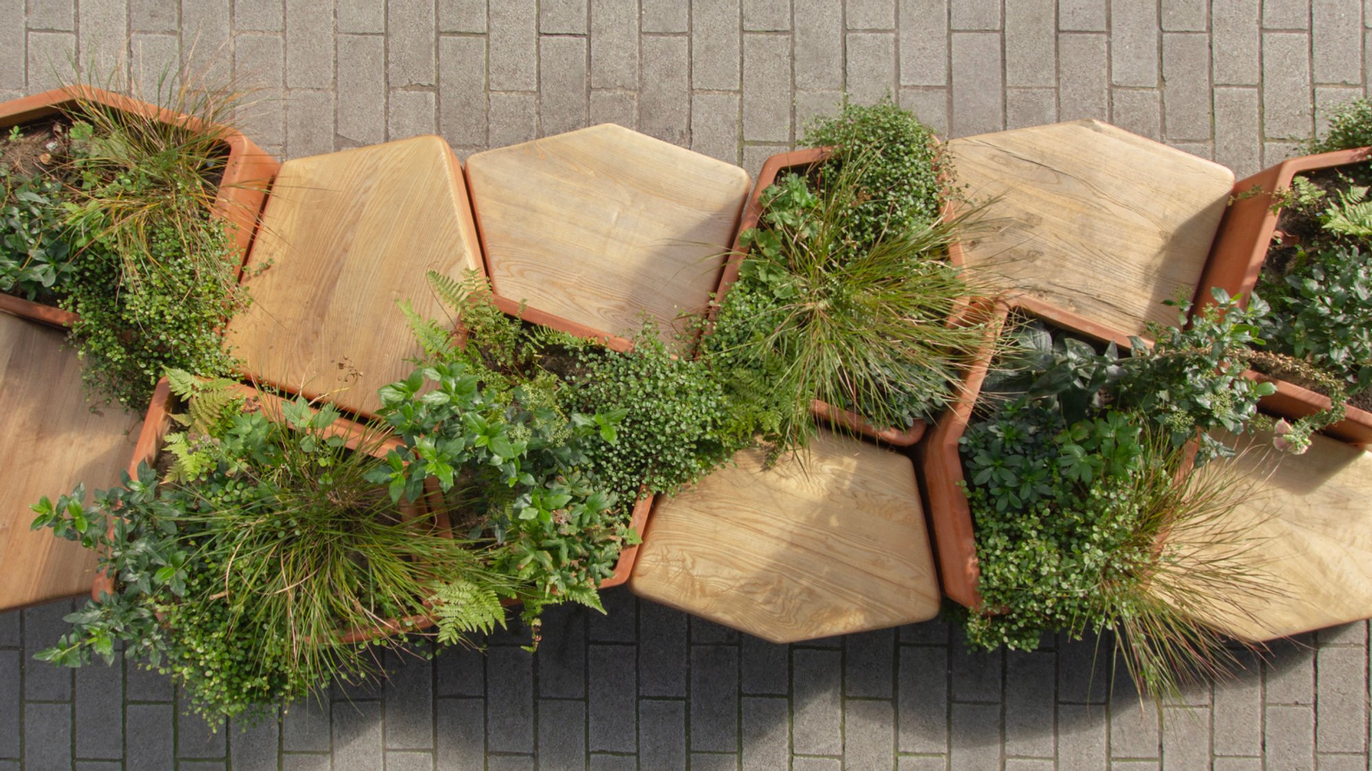 City Clusters by Butler Wiltshire: A Modular Urban Seating and Greenery Solution in London