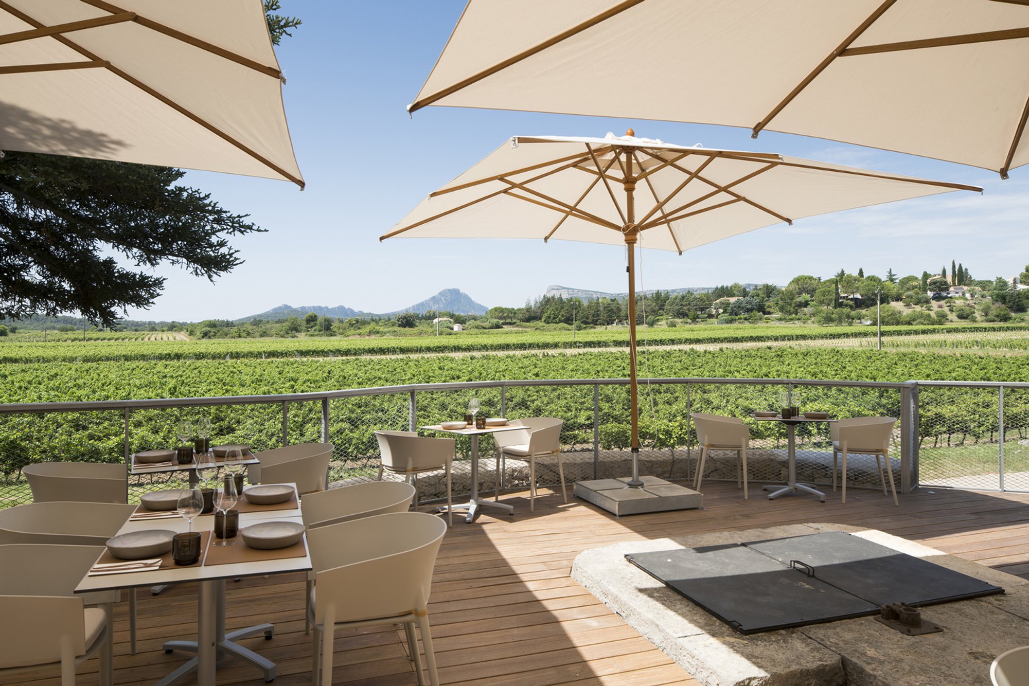 Florence Clausel-Borel Turns a 19th-Century Silkworm Farm into a Theatrical Winery in Pic Saint-Loup