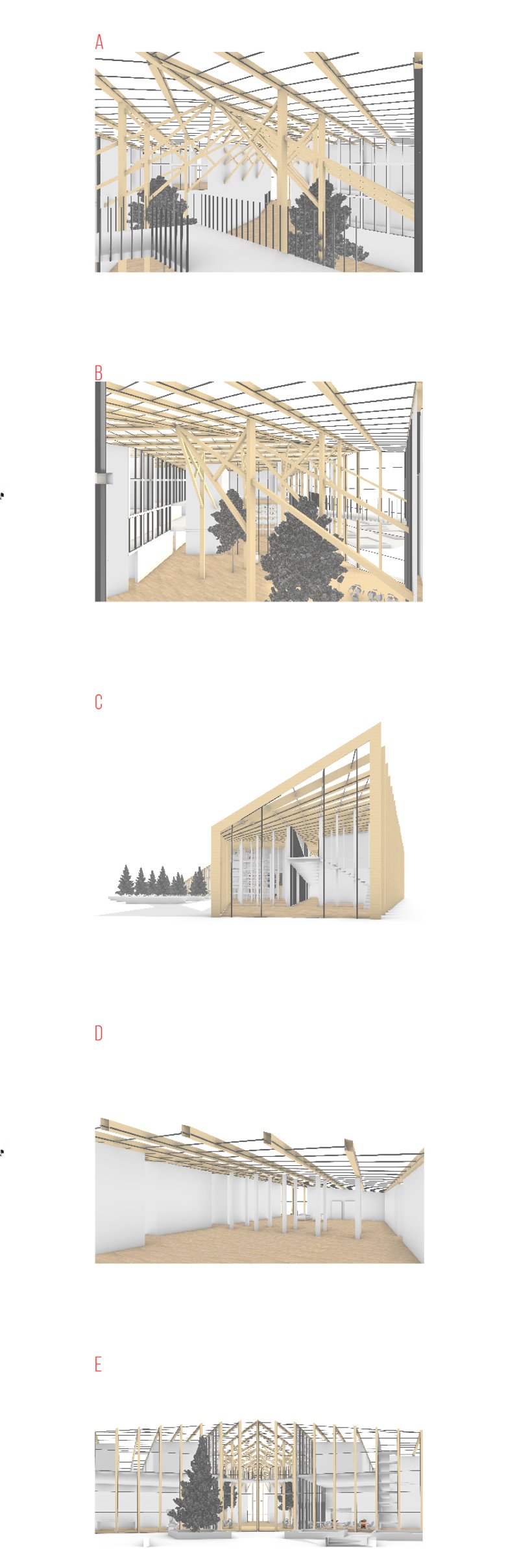Structural Perspectives – Various angles of the building design, showcasing the innovative use of wood and open spaces.