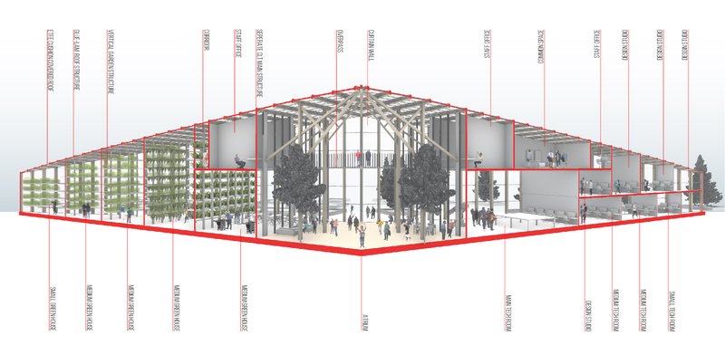 Sectional Diagram – A cut-through view highlighting greenhouses, workspaces, and community-driven areas within the school.