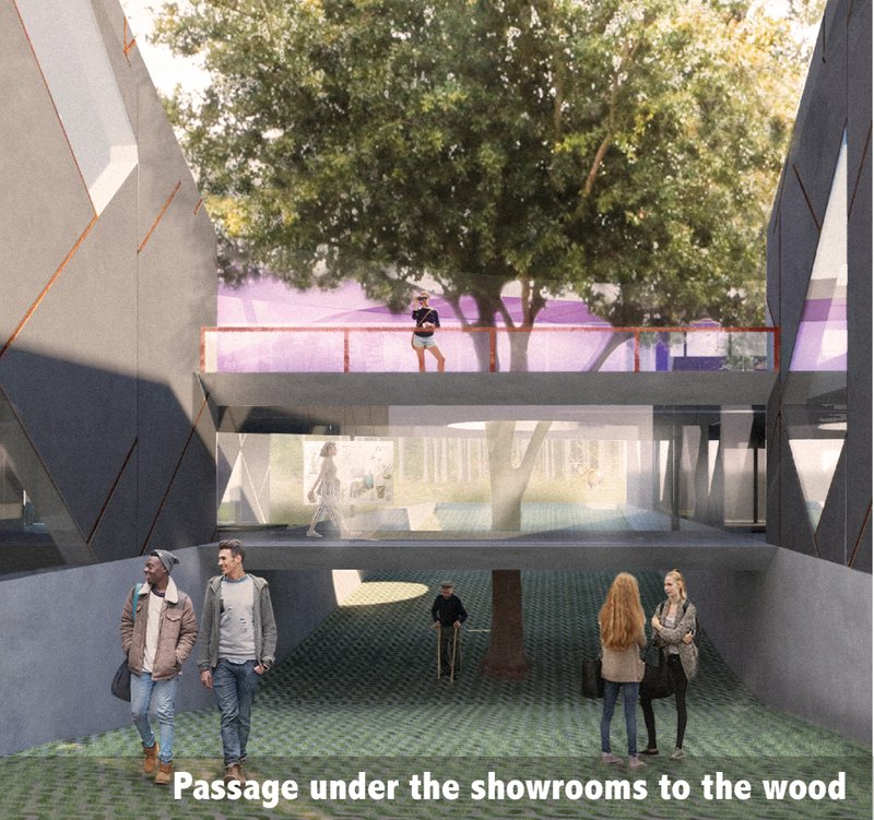 Pathways through nature – A dynamic connection between learning spaces and natural surroundings.