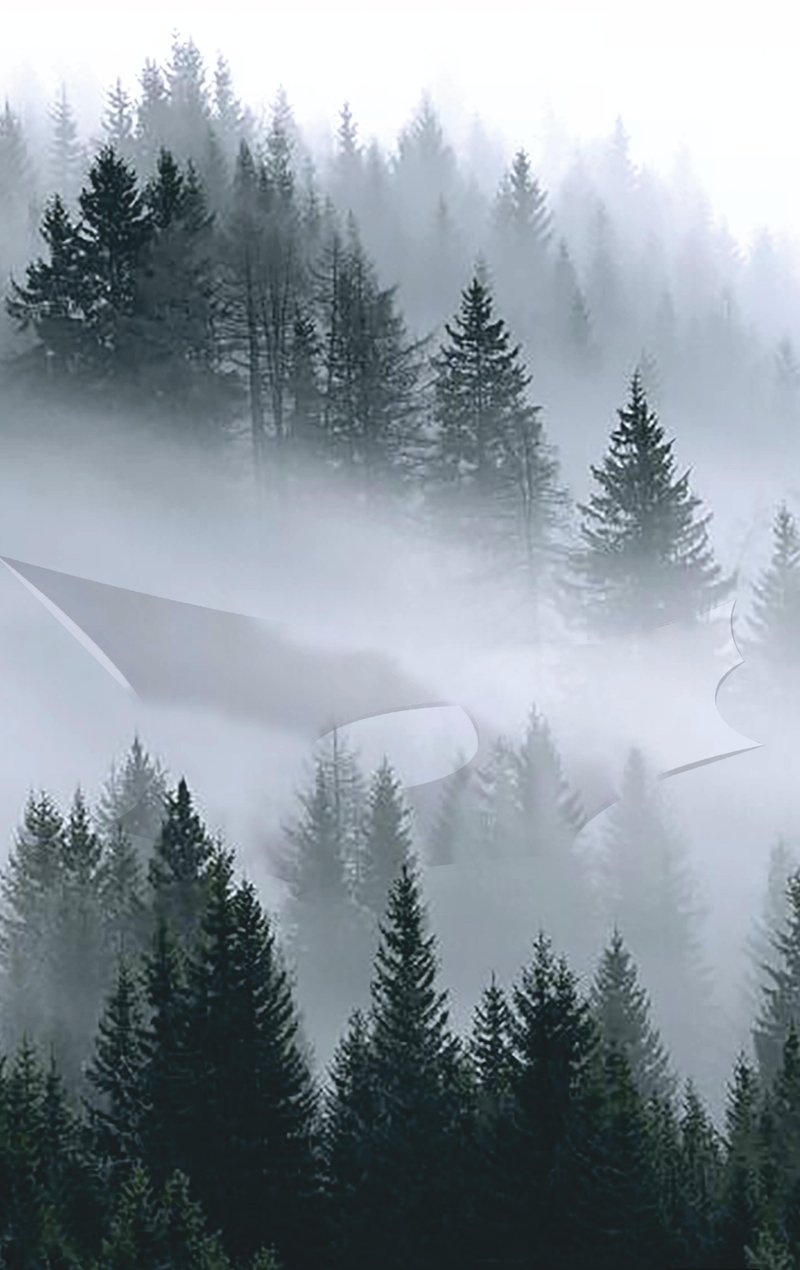 A visionary design emerges seamlessly from the foggy forest, blurring the lines between built space and nature.