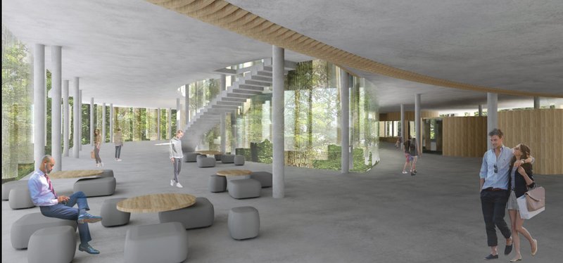 Open interiors with panoramic forest views create a calming learning and collaborative space.