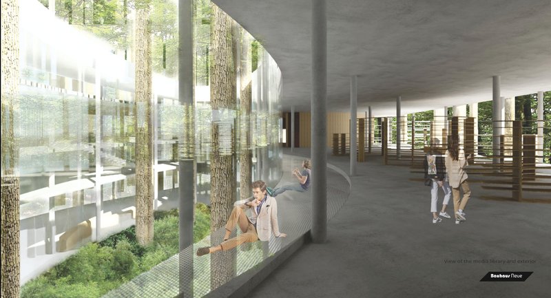 A tranquil reading area with curved, tree-like columns enhances the biophilic experience.