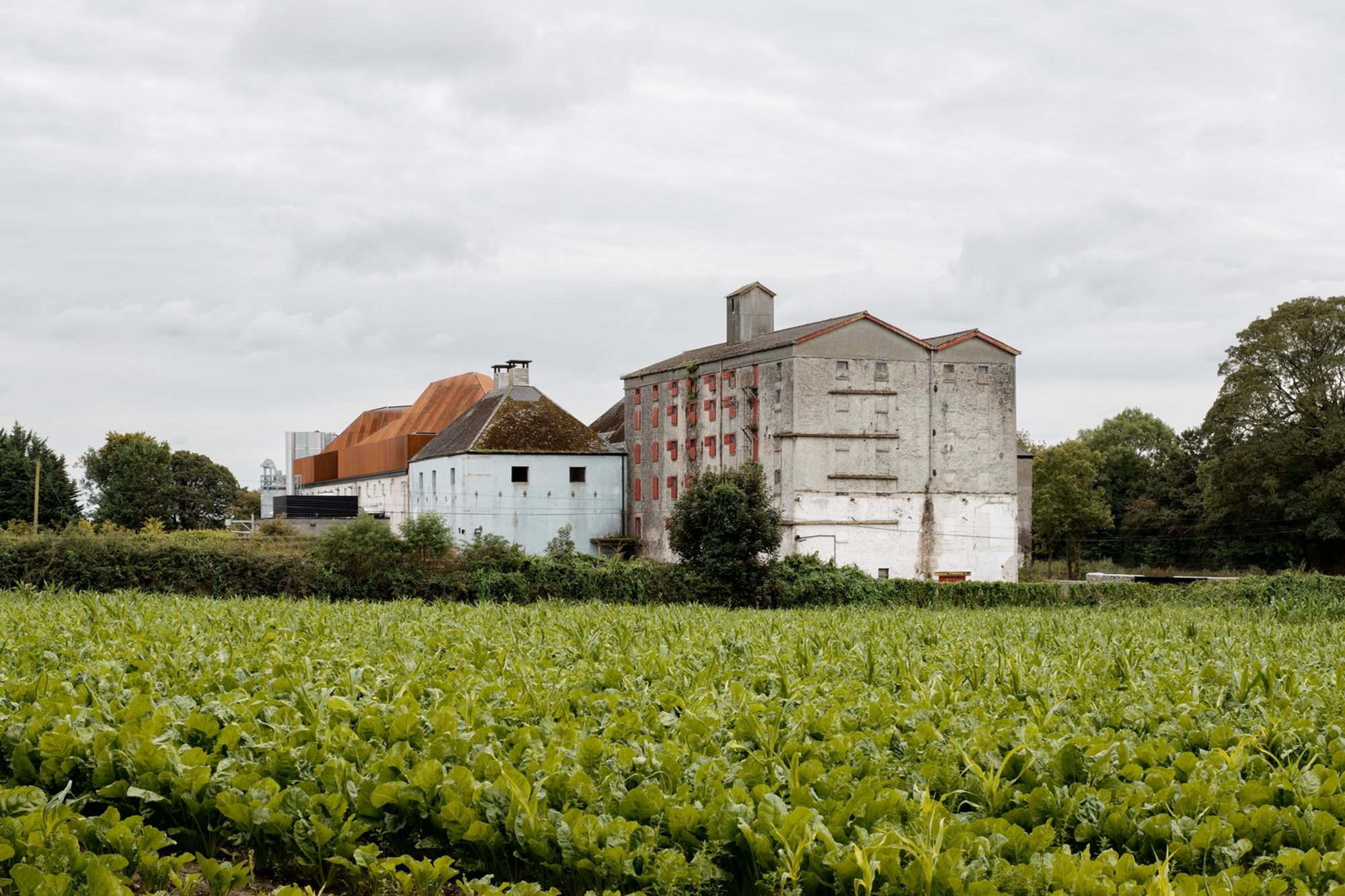 Church of Oak Distillery: A Modern Revival by ODOS Architects
