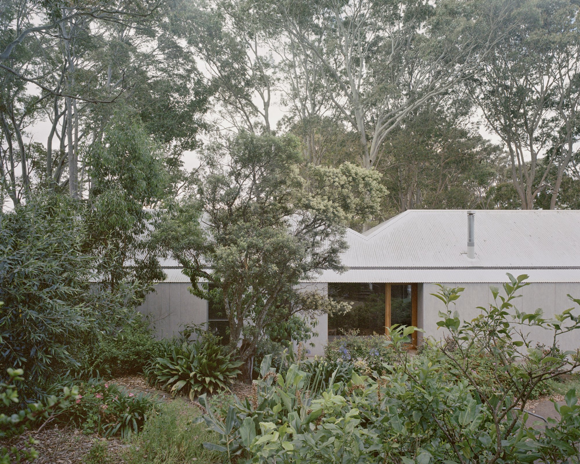Edition Office Recasts the Australian Fibro Shack as a Permanent Home Among Spotted Gums