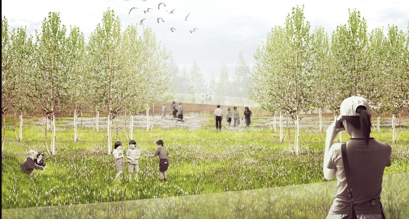 Serene Memorial Landscape – A tranquil meadow cemetery blending nature and remembrance for a sustainable future.