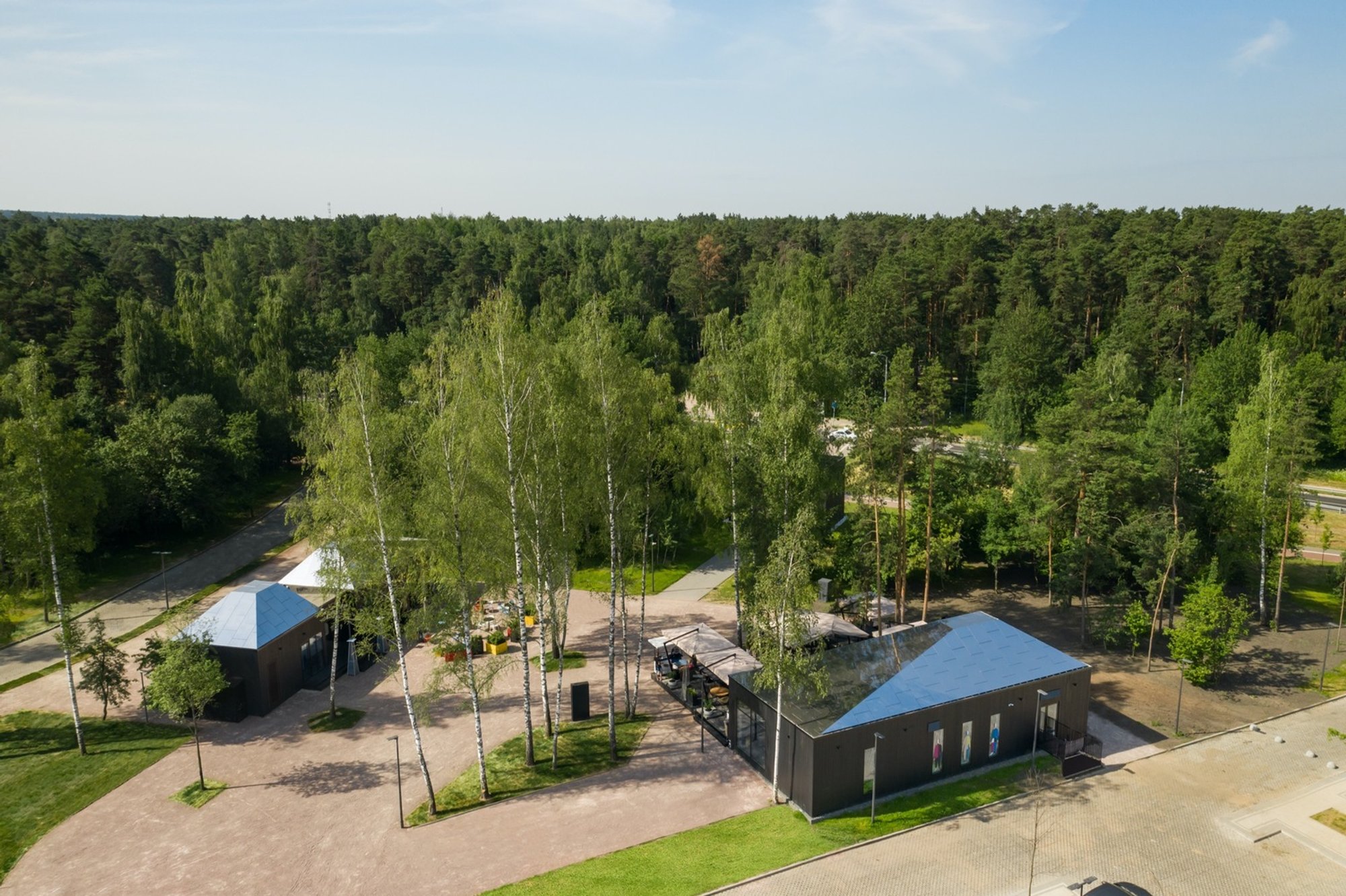 Malevich Park: A Fusion of Art, Nature, and Modern Landscape Design