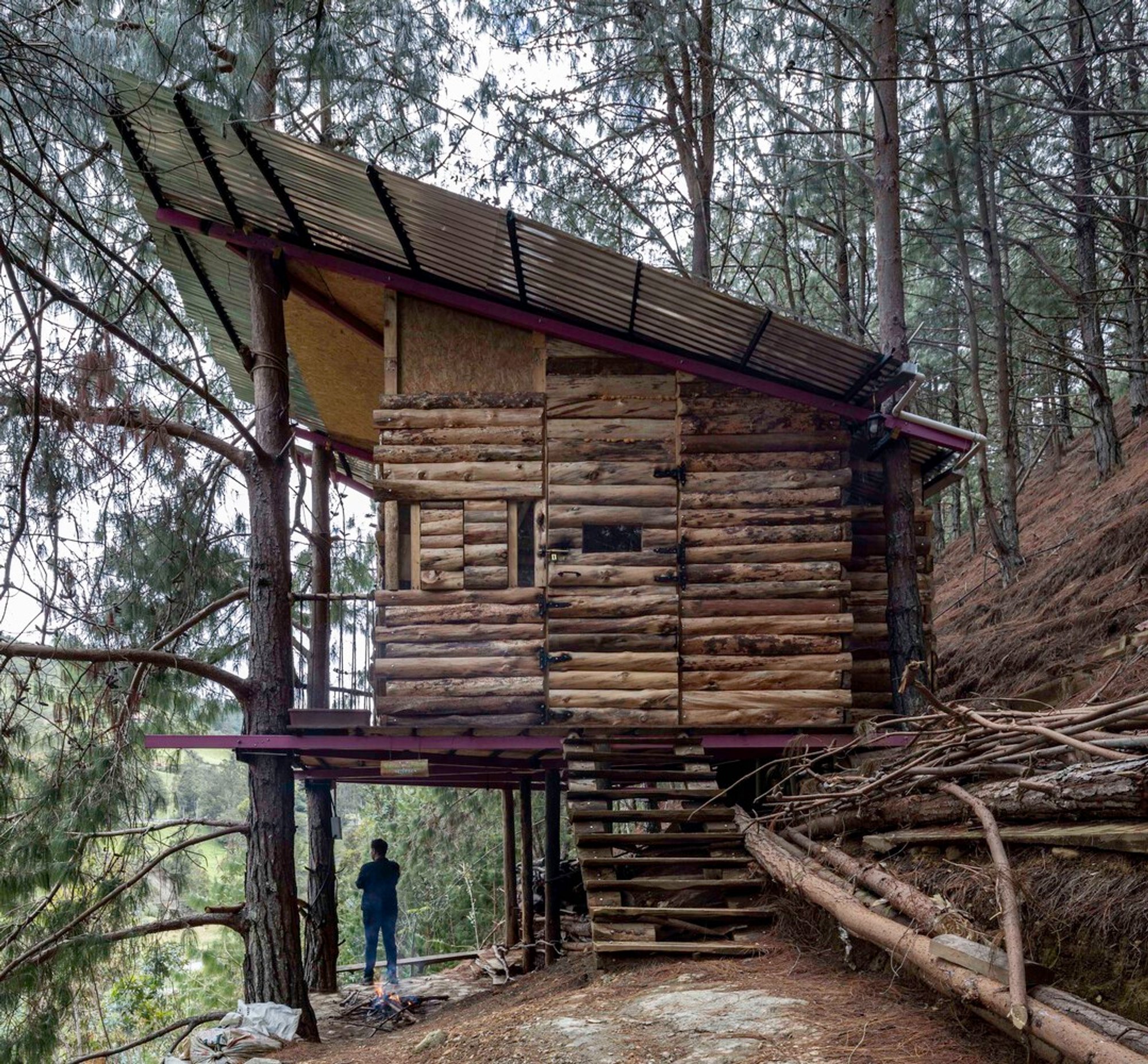 Tree House by FB+ Estudio: A Sustainable Retreat in the Ecuadorian Forest