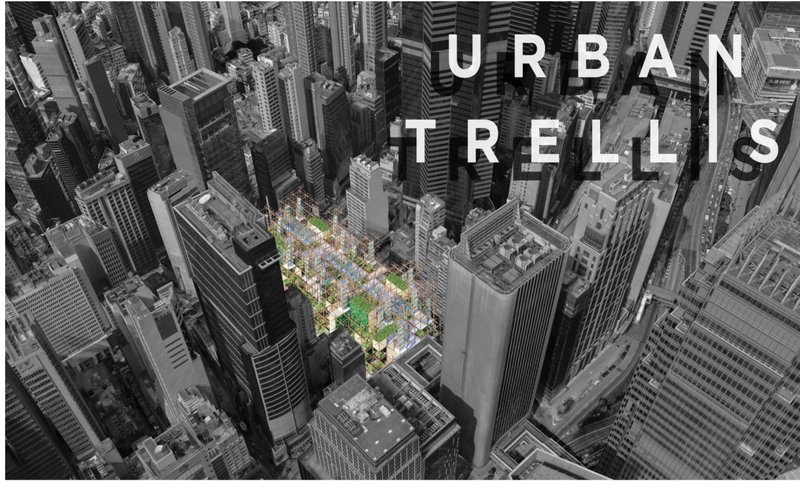 Urban Trellis by Agata Mila — vertical farming and seed preservation in Hong Kong