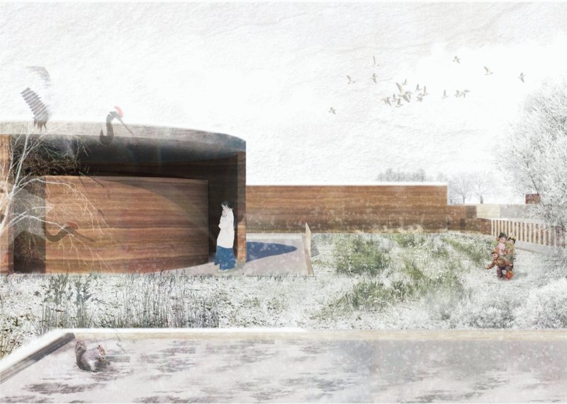 Architectural Section – A cross-sectional view of the remembrance pavilion, integrating spaces for reflection, ritual, and connection to nature