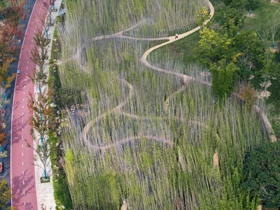 20 Most Popular Landscape Design Projects of 2025