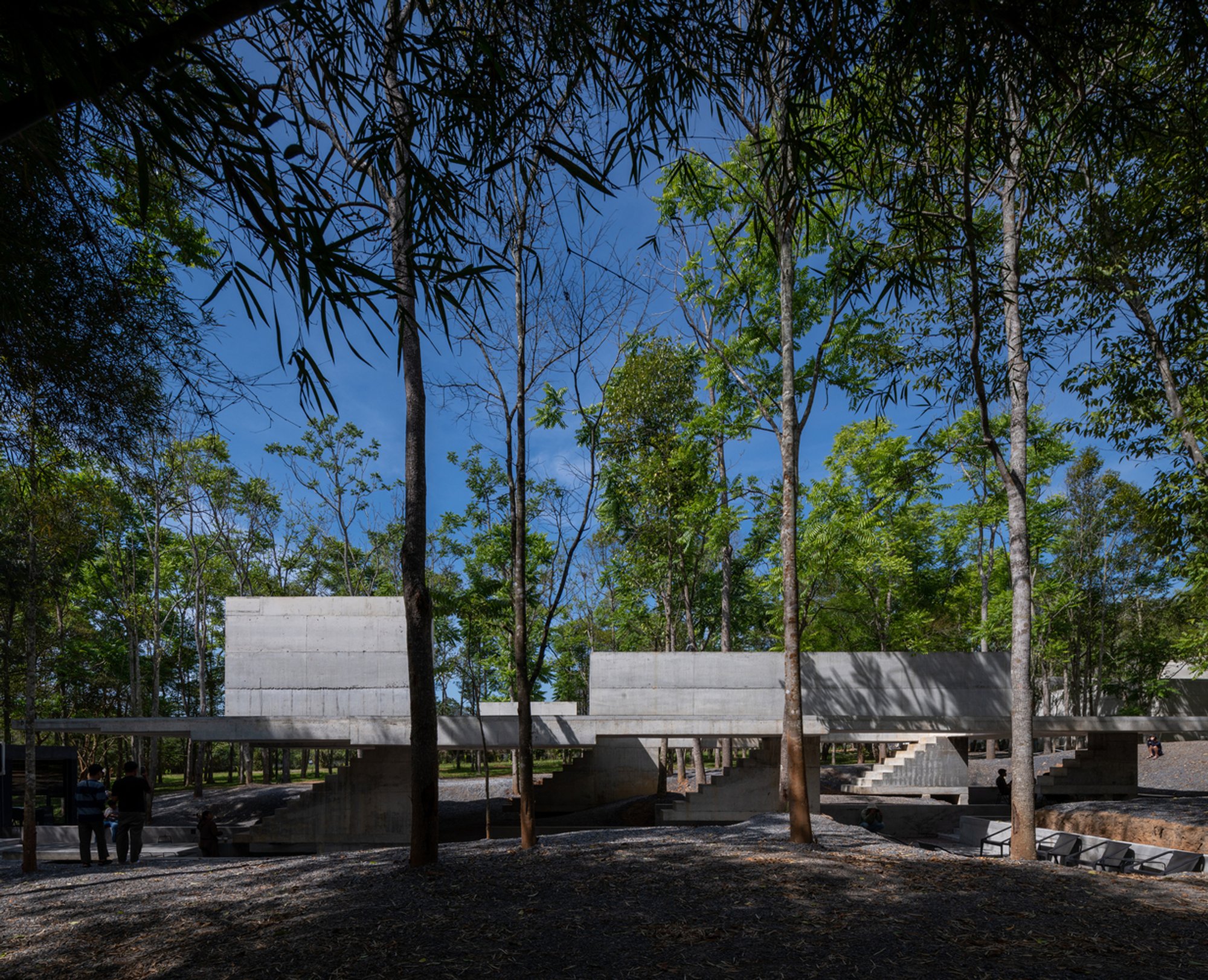 Yellow-Mini Café by JOYS Architects: A Harmonious Fusion of Nature and Architecture