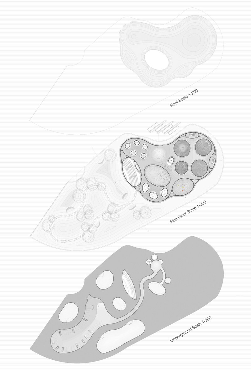 Floor Plans &amp; Levels – A detailed breakdown of the roof, first floor, and underground spaces, highlighting modular adaptability.