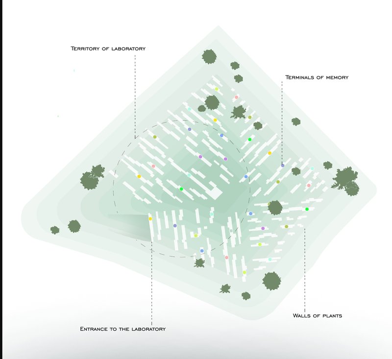 Memory Forest Plan – A top-down view of the evolving cemetery with designated spaces for memory terminals and plant walls.
