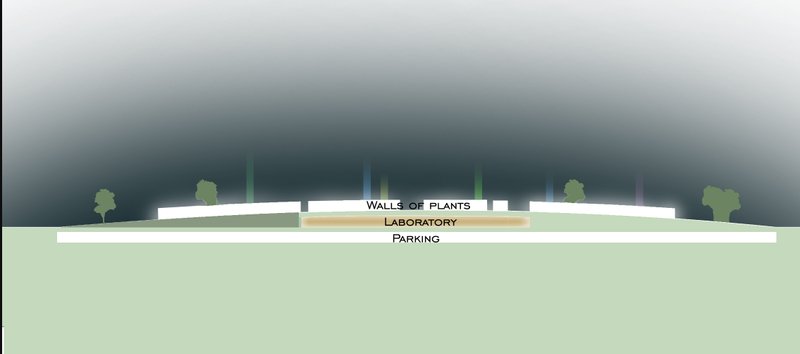 Architectural Section – A cross-sectional illustration of the cemetery, highlighting laboratory and plant integration