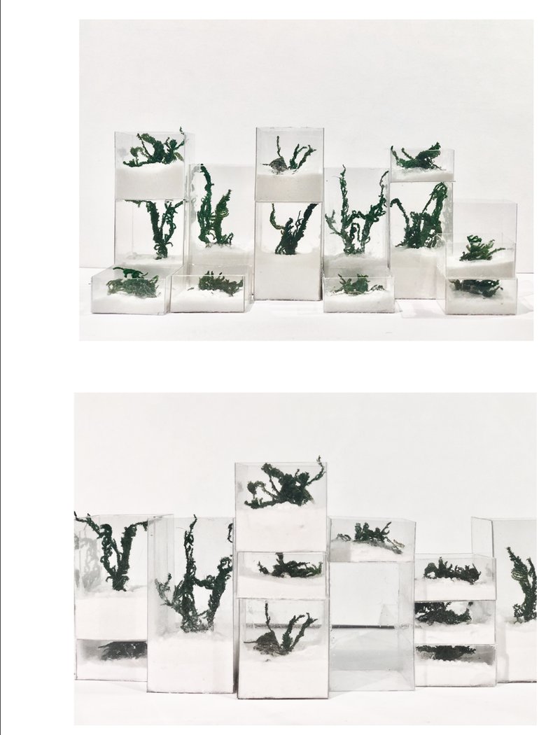 Living Memorial Models – Physical prototypes representing the bio-architectural concept of DNA-embedded plants as living tributes.