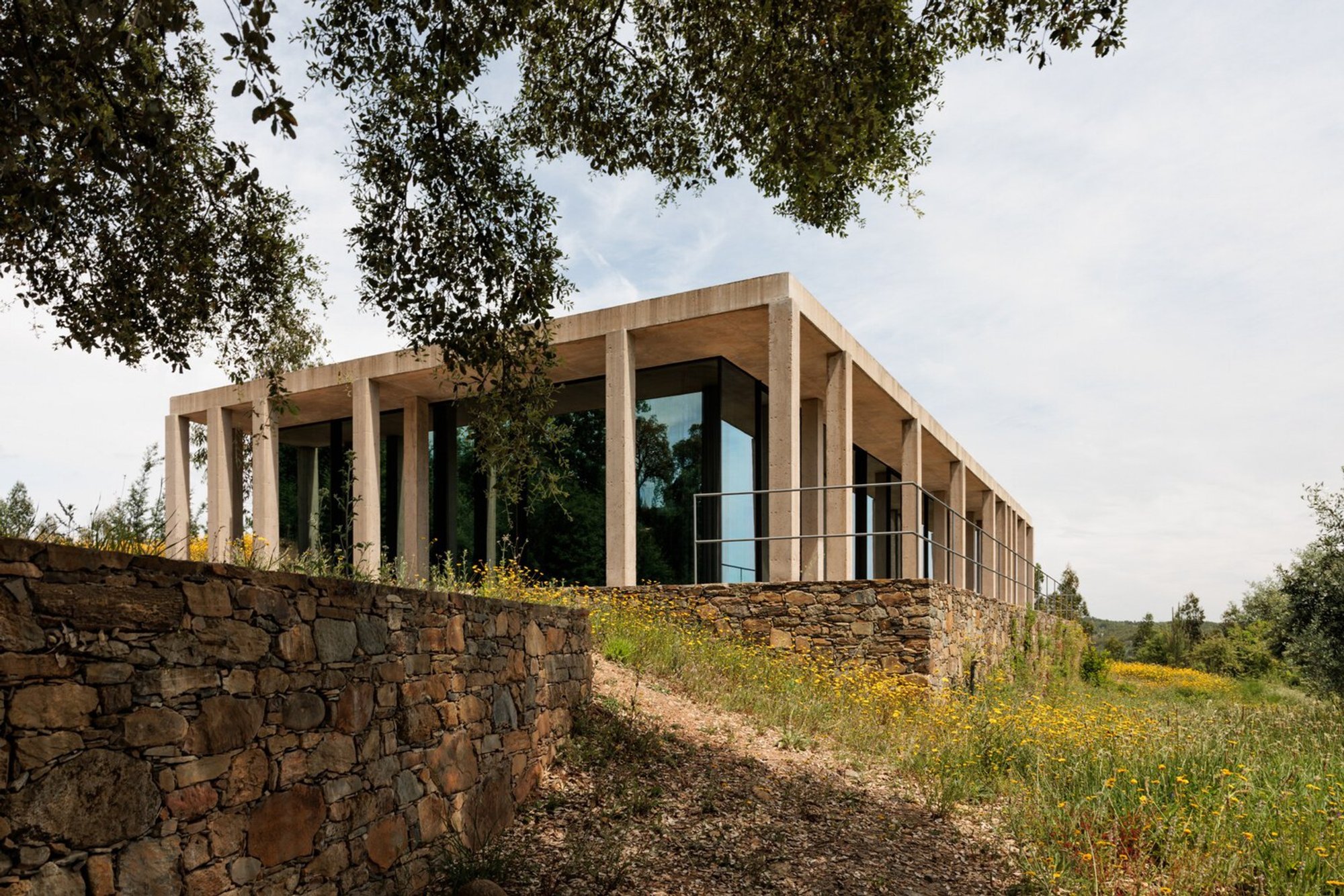 Hypostyle House by Miguel Marcelino: A Contemporary Architectural Dialogue with Nature