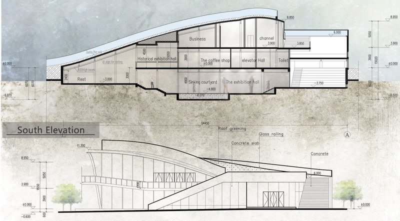 Section and elevation drawings showing spatial layering and green roofing.