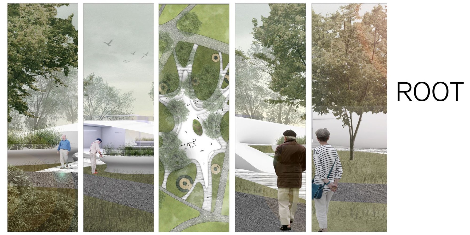 ROOT – A Landscape Architecture Approach to Intergenerational Connection