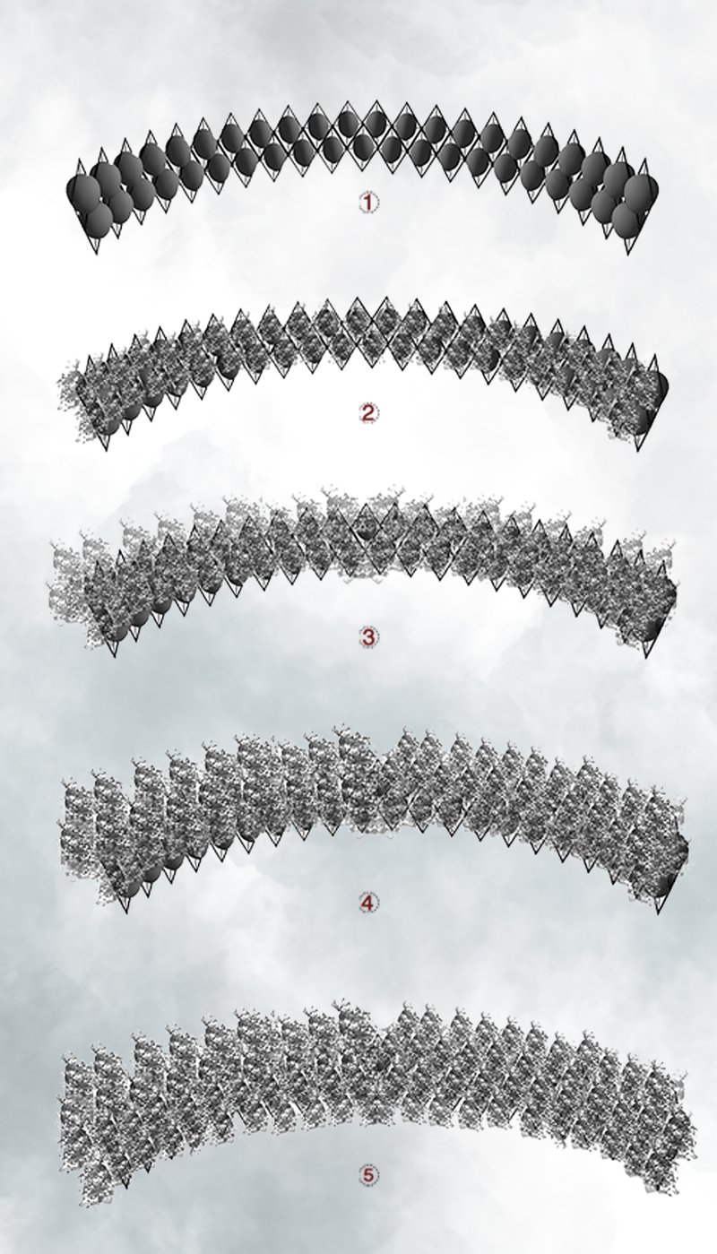 Sequential diagram illustrating the transformation of the architectural modules as plant life gradually envelops the structure.
