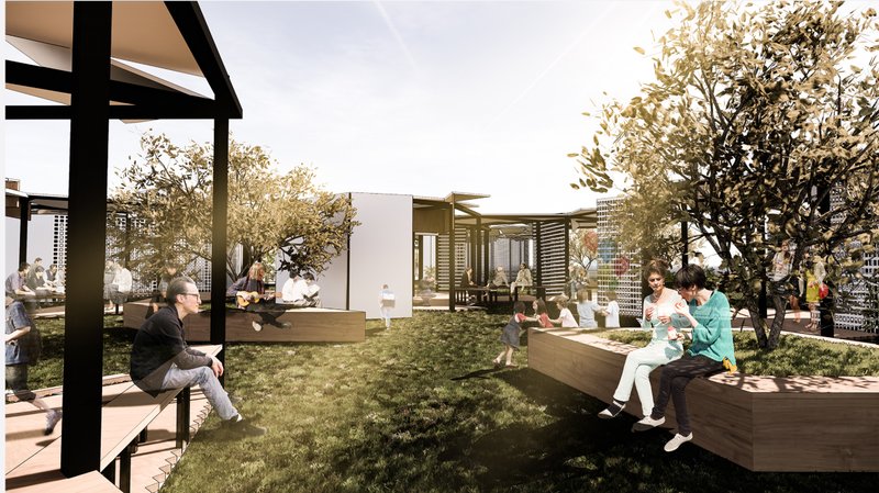 Courtyard lawn with timber benches beneath black frame pergolas and flowering trees in afternoon light