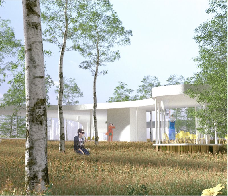 View of the light-filled café pavilion nestled among birch trees.