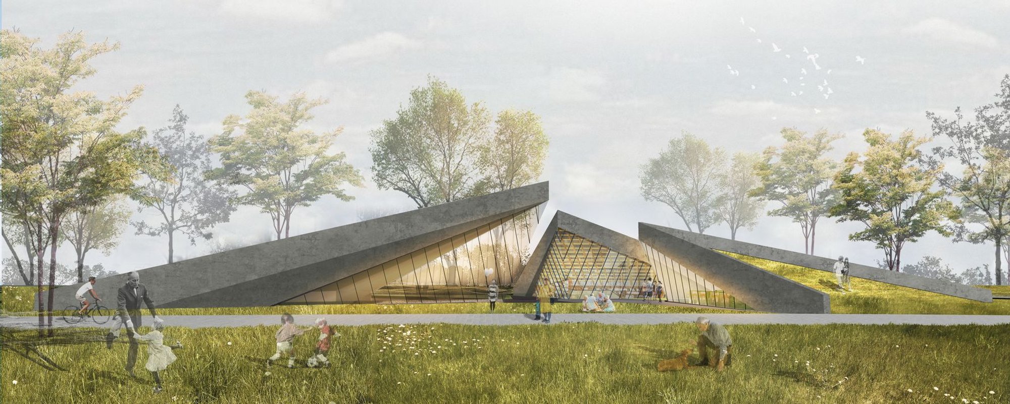 The Sprout: Elderly Wellness Through Rooftops That Grow from the Ground