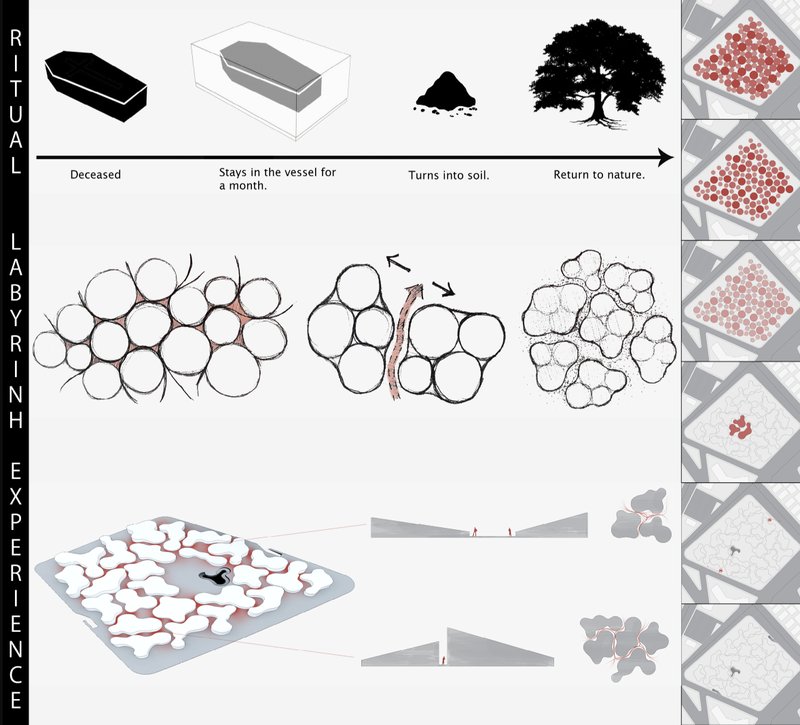 Diagram showing ritual and experiential stages from deceased vessel to soil transformation and tree growth