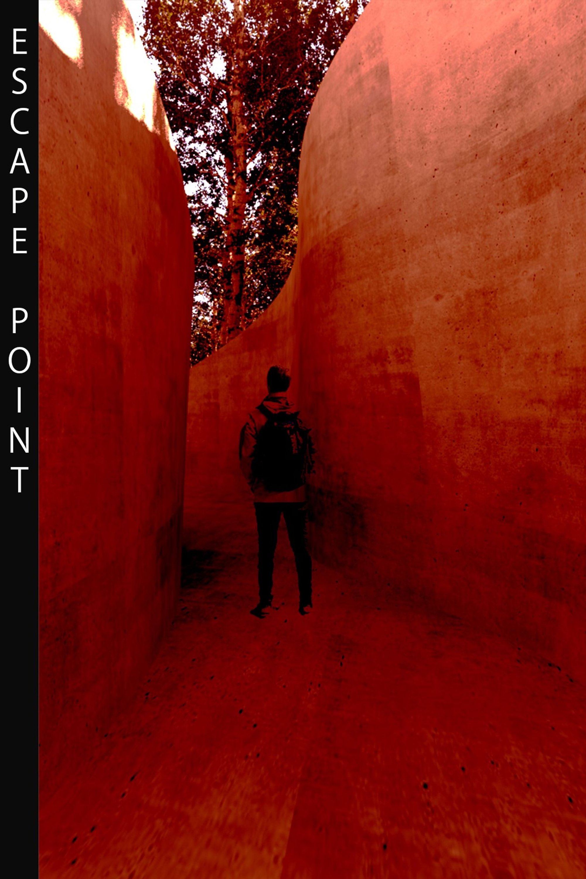 Escape Point: Where the Dead Become Soil and the City Gains a Park