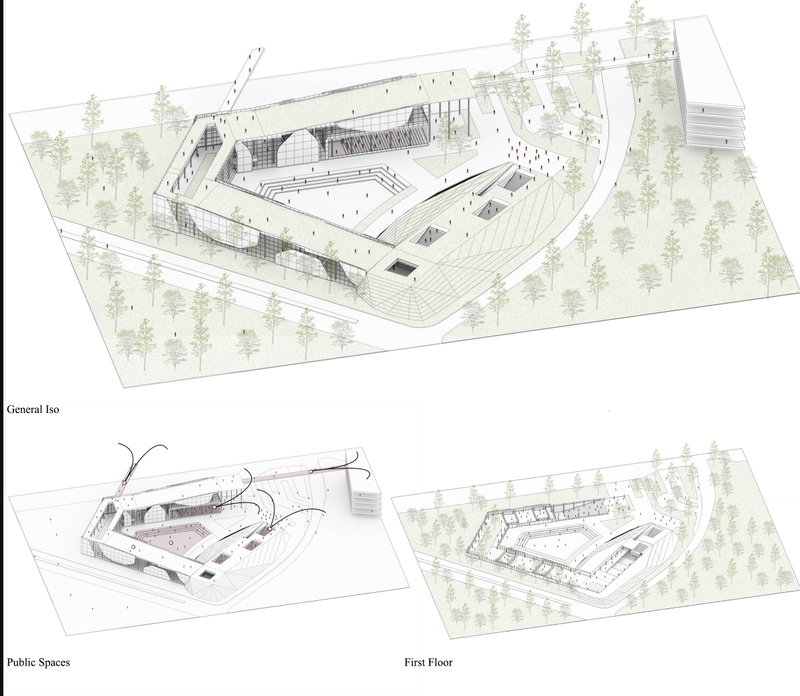 Topographical form shaping layered public zones and articulating spatial hierarchy.