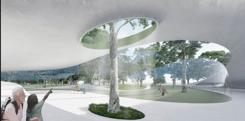 An open courtyard embraces a living tree, blending built space with nature to inspire wonder and intergenerational connection.