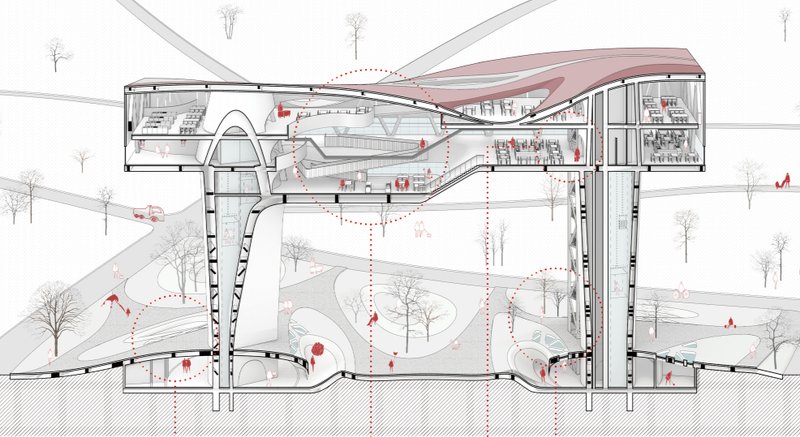 Section cut showcases the vertical circulation core and communal dining spaces within this elevated senior living architecture project.