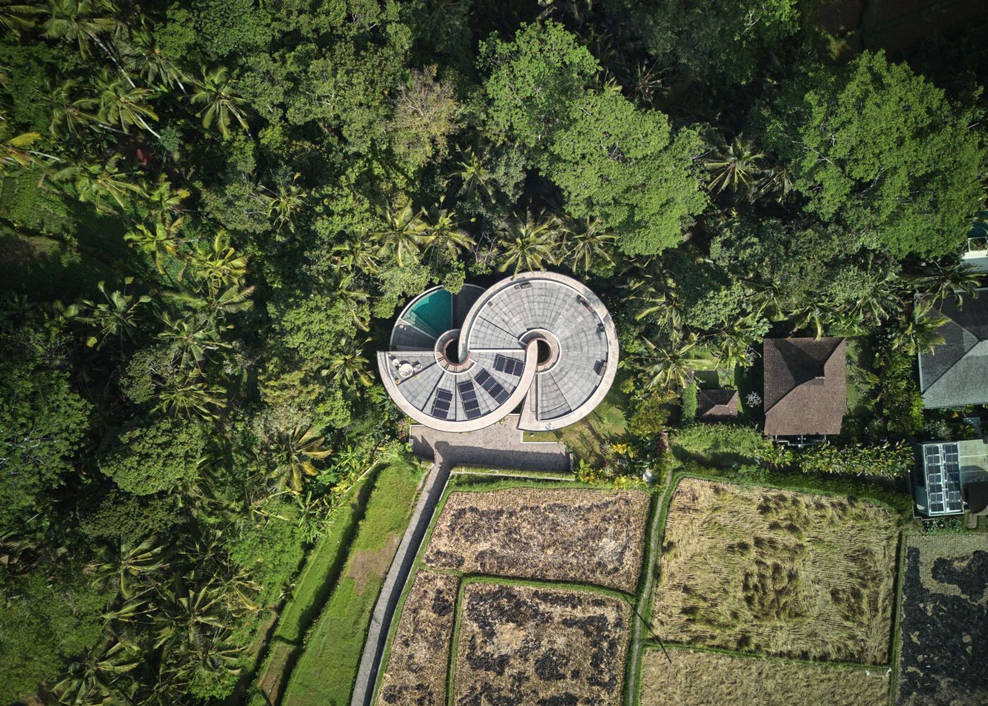 The Loop Residence by Alexis Dornier: A Masterpiece of Organic Architecture in Bali’s Jungle
