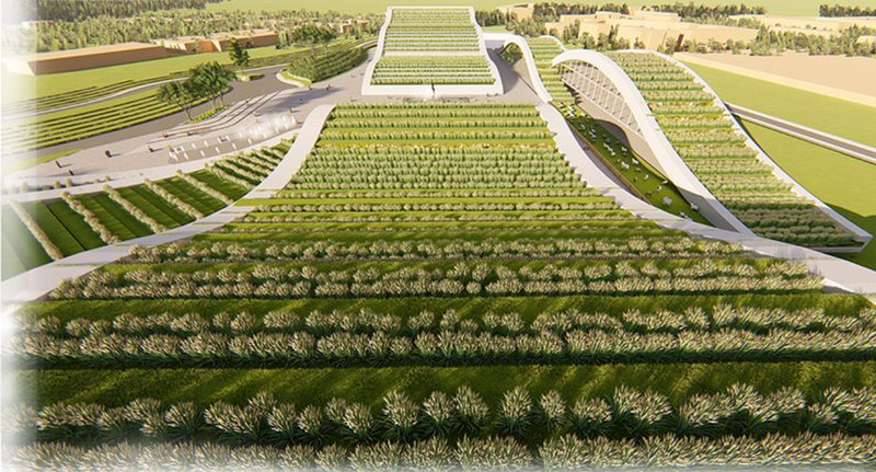 Aerial view of rice-terrace-inspired farming integrated into futuristic architectural forms.