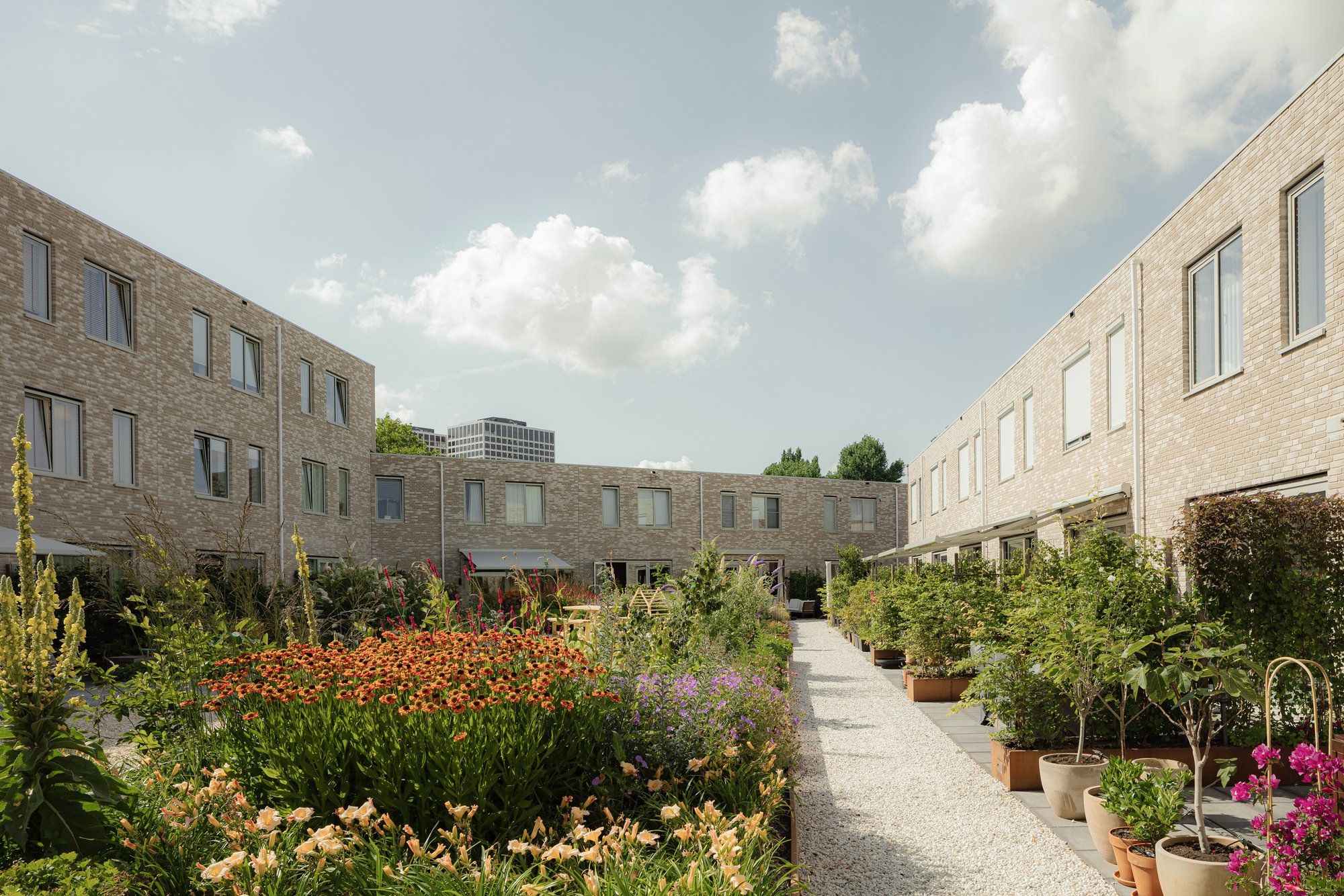The Hudsons Housing in Rotterdam by Orange Architects: Sustainable Living with Community at Heart