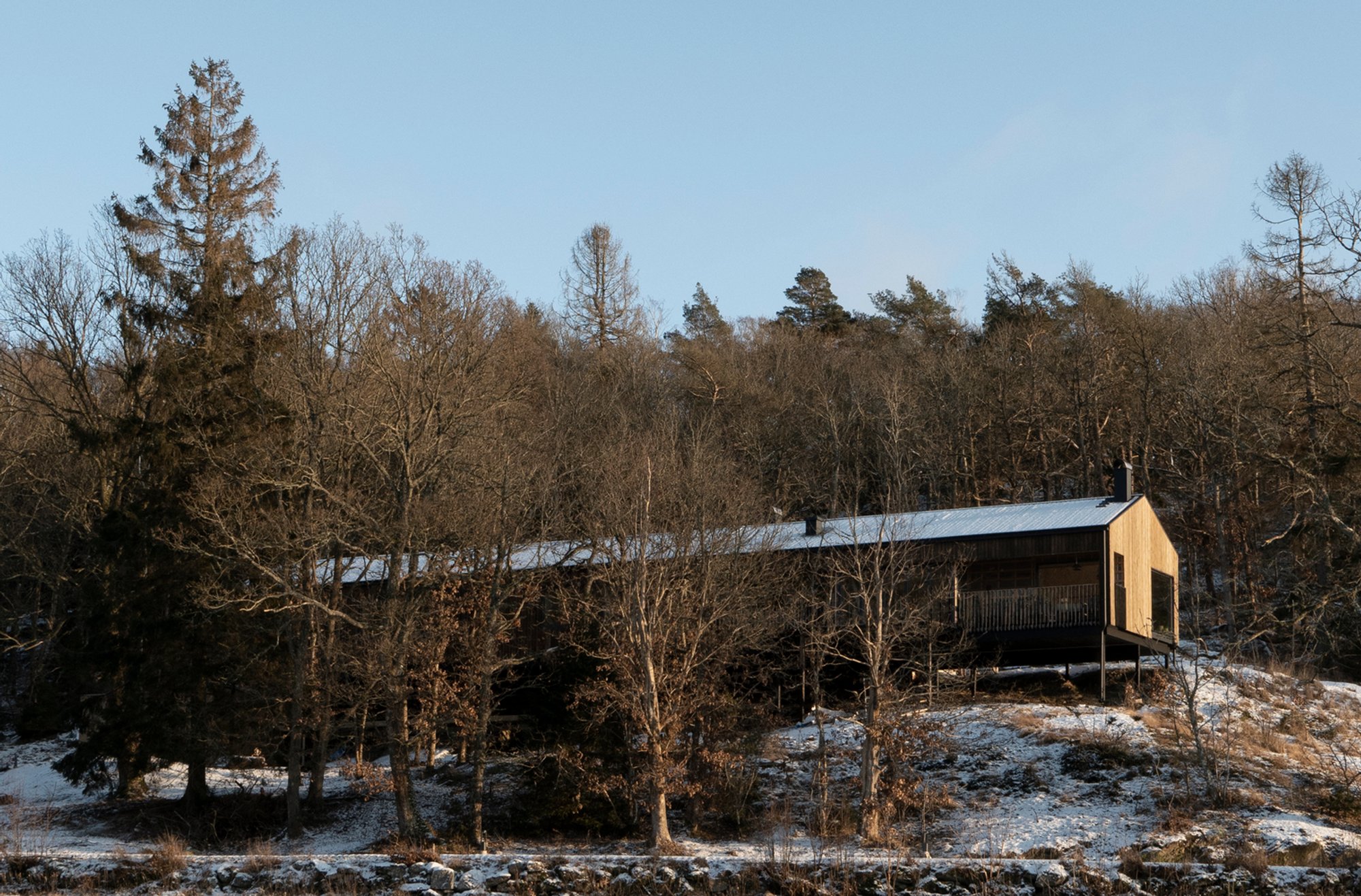 Veddige House by Fabel Arkitektur – A Scandinavian Home in Harmony with Nature