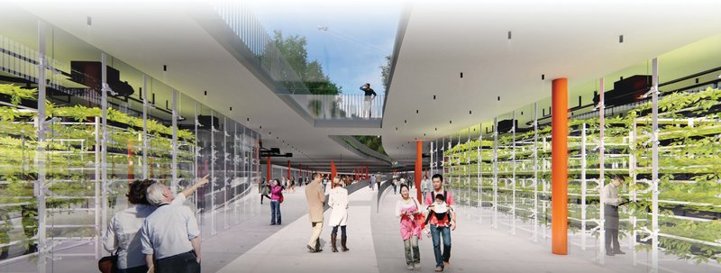 Interior perspective of vertical farming spaces integrated with public walkways.