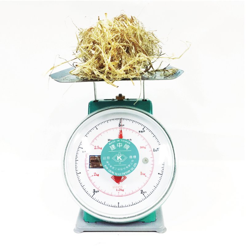 Vintage teal kitchen scale with a mound of dried straw placed on the weighing platform