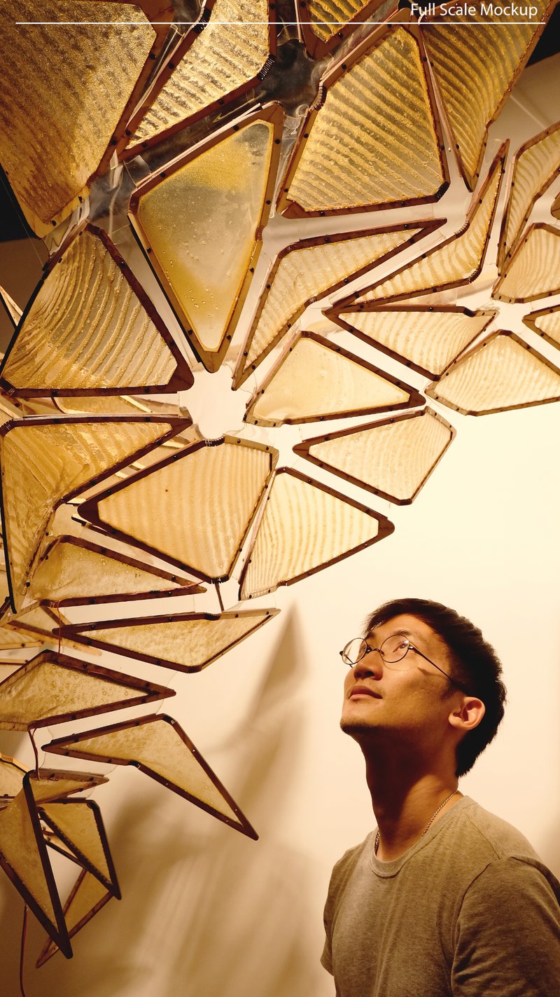 A student observes the modular chitosan installation up close.