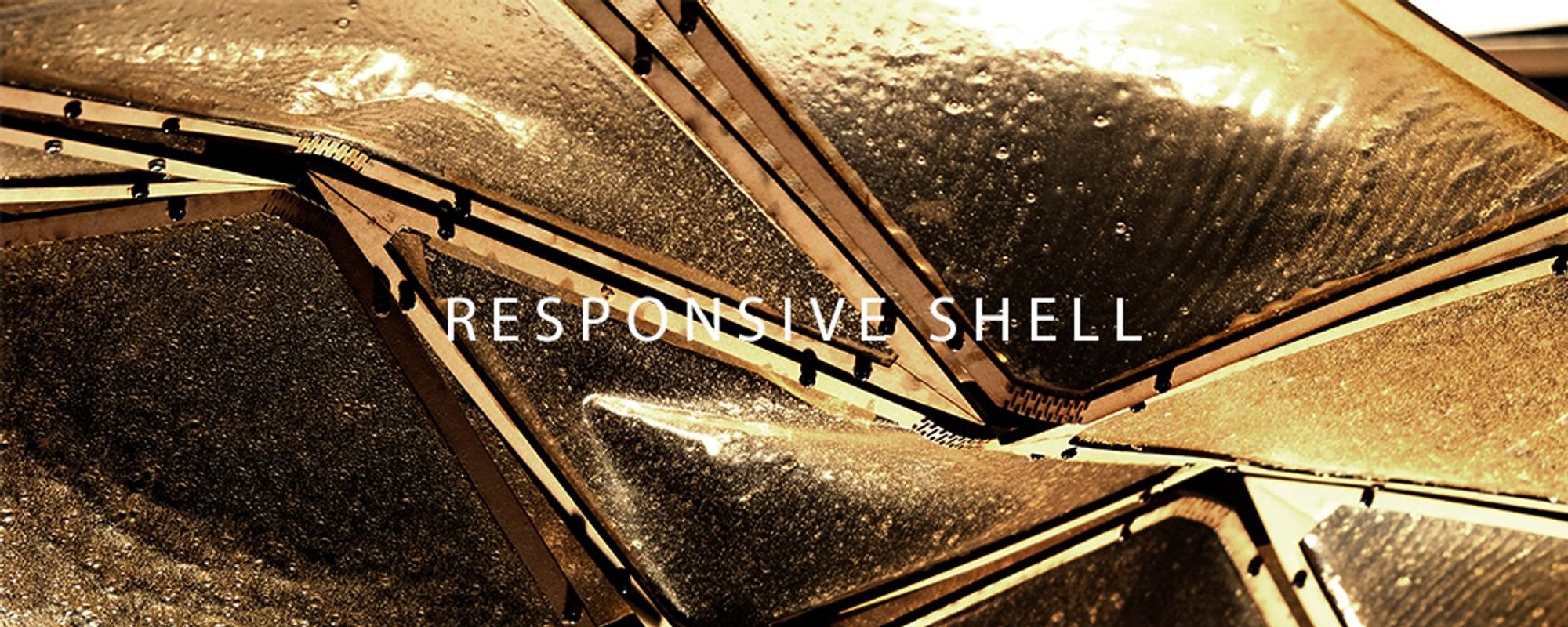 Responsive Shell: Sustainable Architecture with Chitosan-Based Design