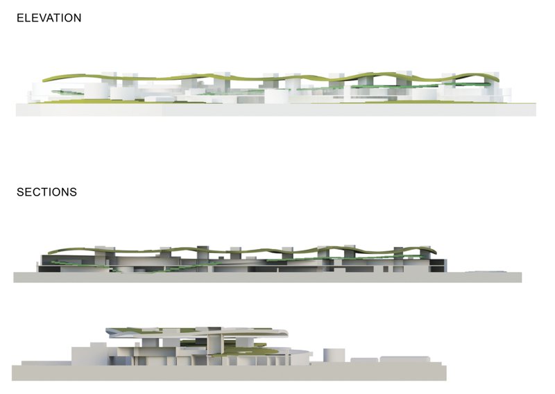Monolithic study model illustrating the organic roof and integrated spaces.