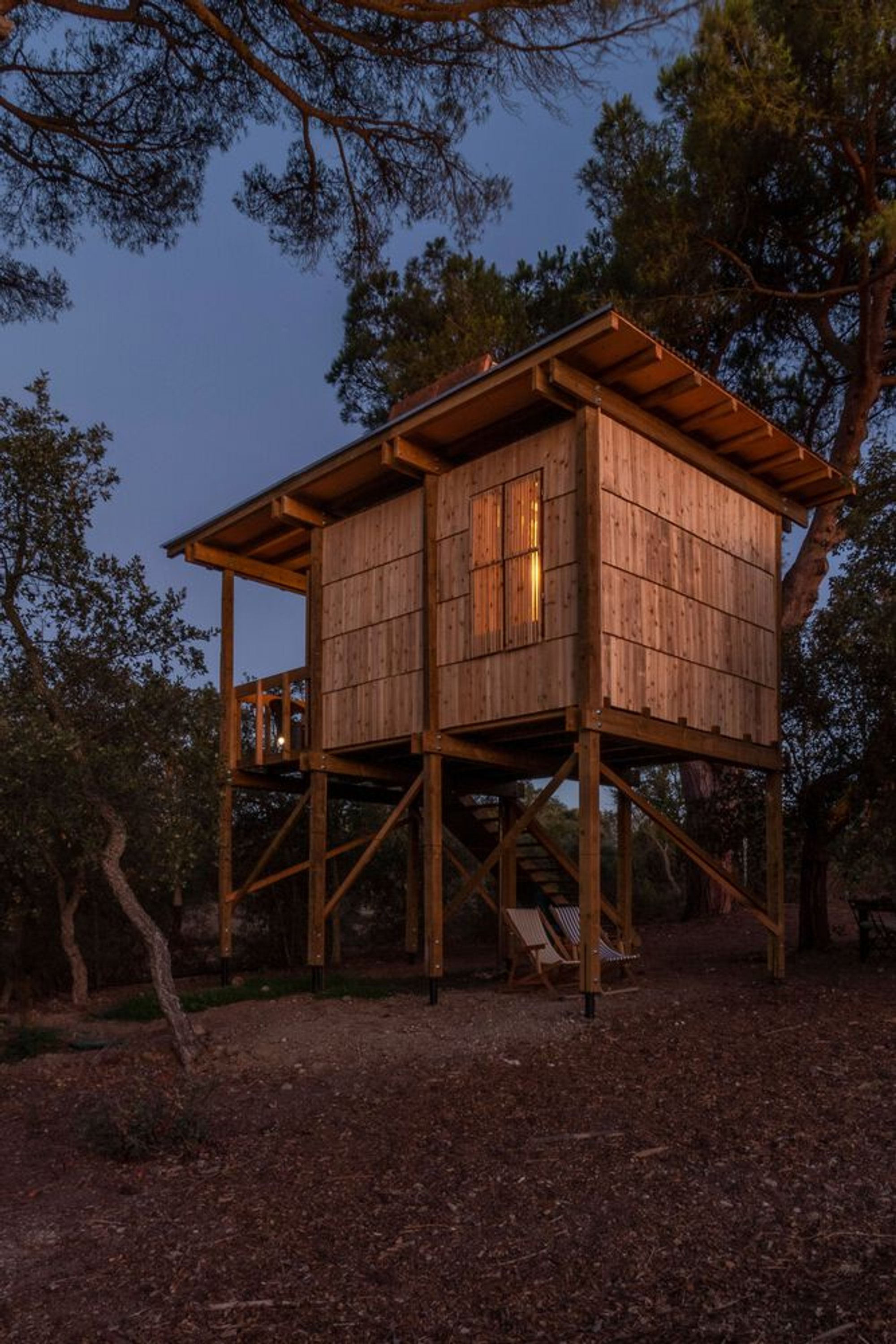 Columba Tree House by Madeiguincho – A Wooden Sanctuary Among Centenary Pine Trees